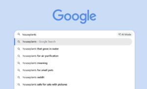 Example of google autocomplete for long-tail keywords